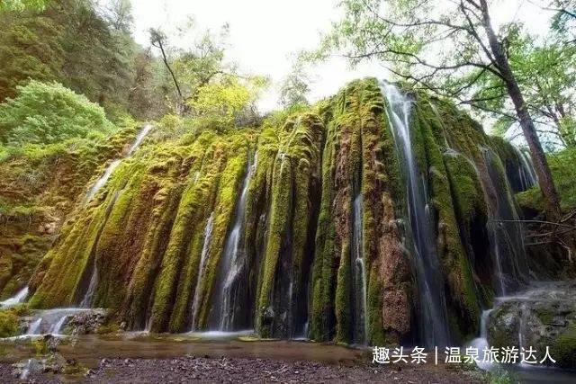 寻找沙漠珍宝
